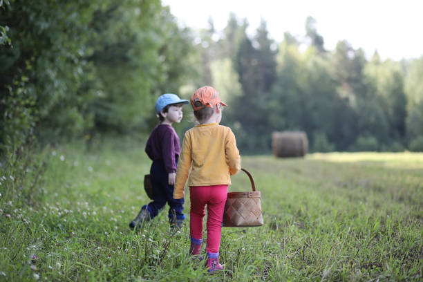 Children go to the forest for mushrooms