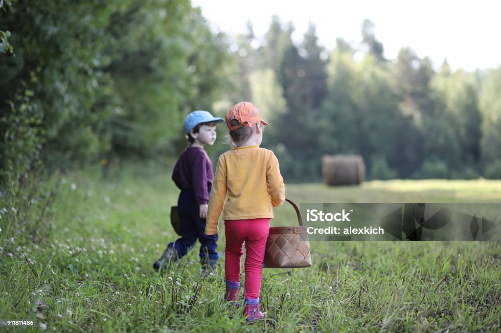 Children go to the forest for mushrooms Children gathered in a hike in the nearest forest in search of mushrooms Child Stock Photo