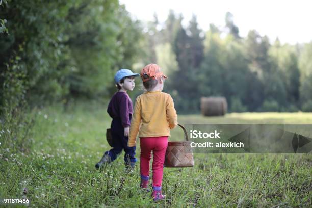 Children Go To The Forest For Mushrooms Stock Photo - Download Image Now - Child, Sweden, Tick - Animal