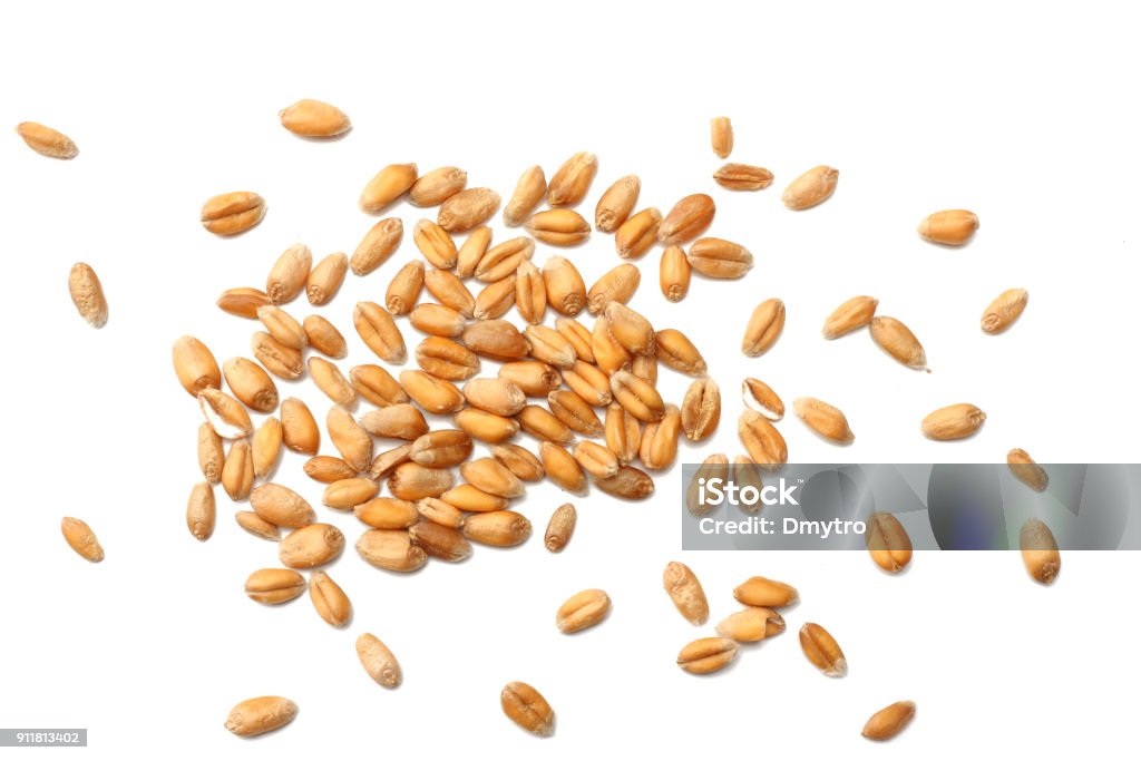 wheat grains isolated on white background. top view Wheat Stock Photo