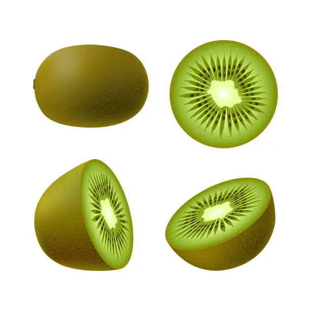 Vector illustration of Set of isolated realistic colored whole juicy kiwi, half green kiwi and kiwi circle on white background. Realistic fruit collection.
