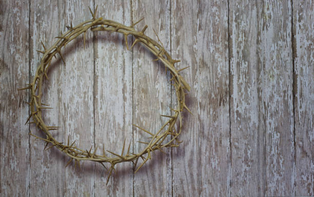 istock Easter Crown of Thorns on a wood plank rustic background 911818850