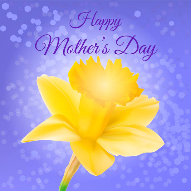 ilustrações de stock, clip art, desenhos animados e ícones de happy mother's day - mothers day flower single flower purple
