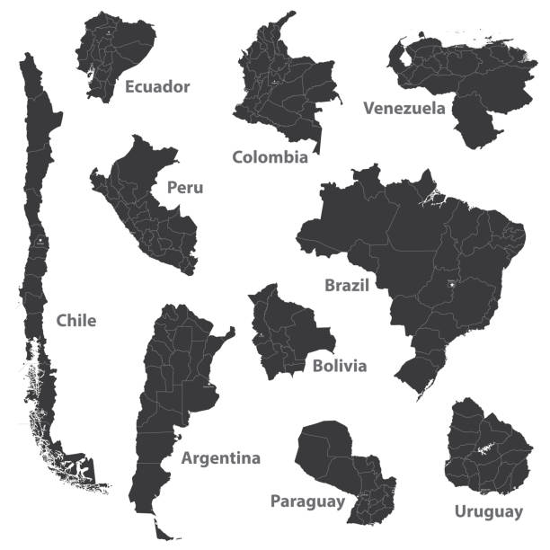 ilustraciones, imágenes clip art, dibujos animados e iconos de stock de mapas vectoriales de países sudamericanos - colombia map