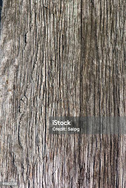 Driftwood 2 - Fotografie stock e altre immagini di Acqua - Acqua, Albero, Ambiente
