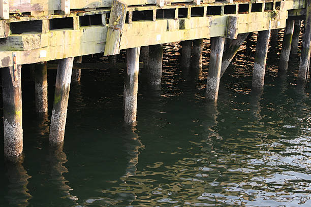 Barnacle Post 210+ Wooden Post Barnacle Water Sea Stock Photos, Pictures & Royalty ...