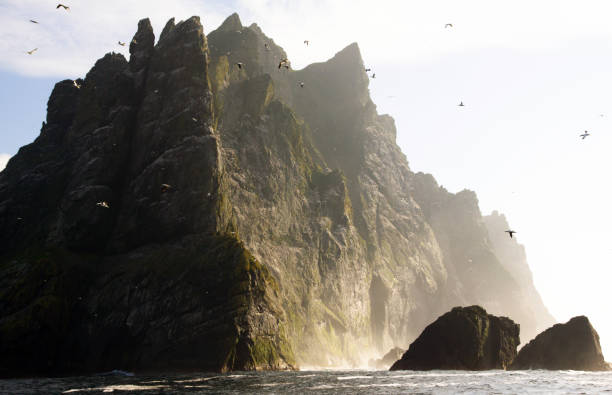 St Kilda, UK The steep cliffs of St Kilda. The Saint Kilda archipelago contains the largest colony in Europe with more than 60 000 nests, United Kingdom boreray and stac lee stock pictures, royalty-free photos & images