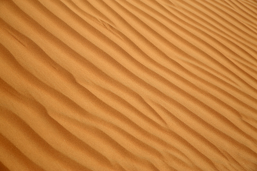 Close up of a sand dune at sunset, Rub al Khali or Empty Quarter, Oman