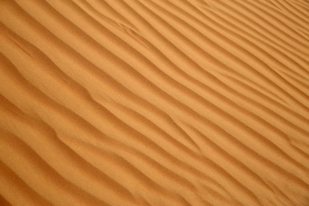 omani sand dune - southern usa sand textured photography imagens e fotografias de stock