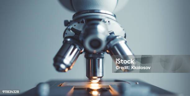 Primo Dellesame Del Campione Di Prova Al Microscopio - Fotografie stock e altre immagini di Biotecnologia