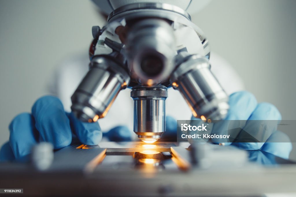 Merapatkan pemeriksaan sampel uji di bawah mikroskop - Bebas Royalti Laboratorium Foto Stok Merapatkan pemeriksaan sampel uji di bawah mikroskop - Bebas Royalti Laboratorium Foto Stok