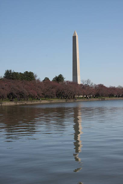 istock Washington Monument across Tidal Basin 91183658