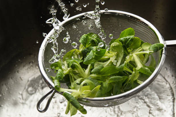 fresh green corn salad in a metal cullender among many drops of water, washing and preparing healthy food - colander imagens e fotografias de stock