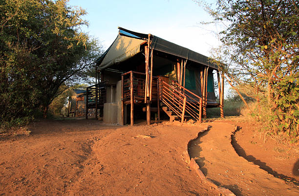istock Lower Sabie in Kruger Park, South Africa 91184149
