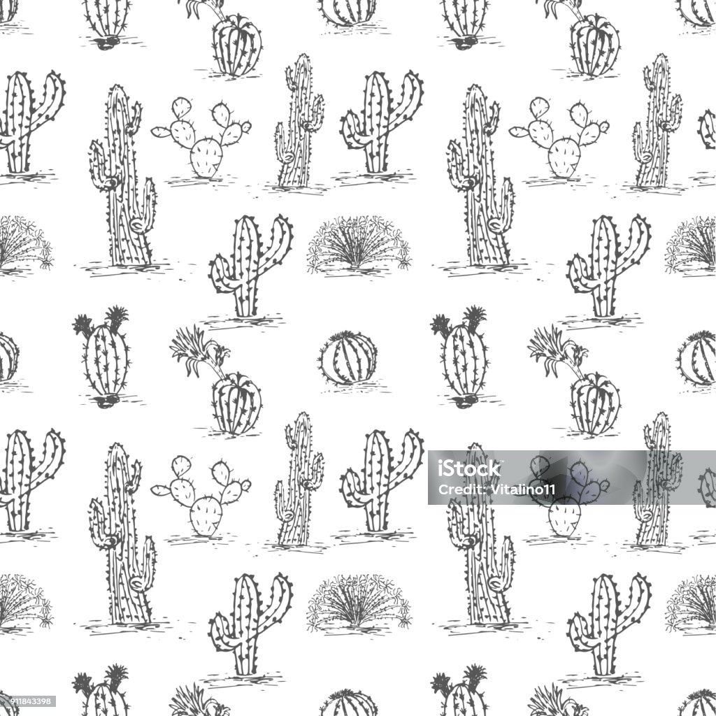 cactus1 READY Hand drawn succulent ornament. Ink illustration.Seamless pattern with cactus. Vector illustration of a cactus isolated on a white background. Cute hand drawn vector cactus . Art stock vector