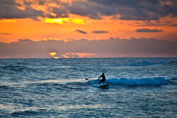 istock Paddleboard Surfer at Sunset, Poipu Beach, Kauai,Hawaii 911855346