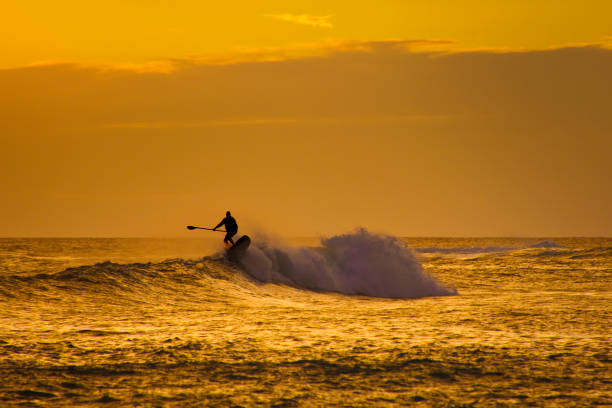 istock Paddleboard Surfer at Sunset, Poipu Beach, Kauai,Hawaii 911855376