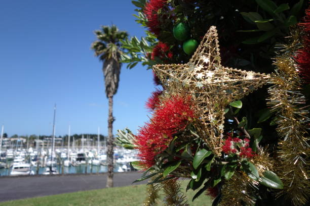 pohutukawa - albero di natale della nuova zelanda - pohutukawa tree christmas new zealand beach foto e immagini stock