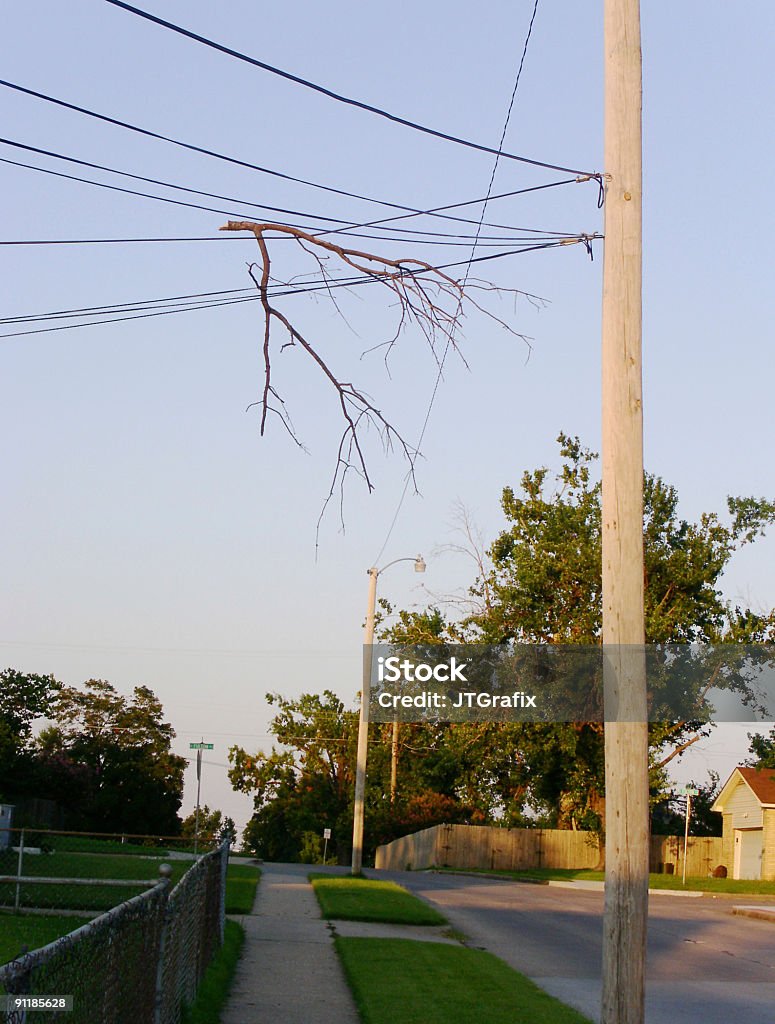 Árbol de las extremidades en líneas de potencia - Foto de stock de Cable de conducción eléctrica libre de derechos
