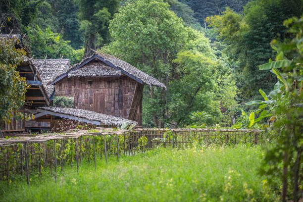 istock Beautiful Chiang Mai Northern Thailand 911862246