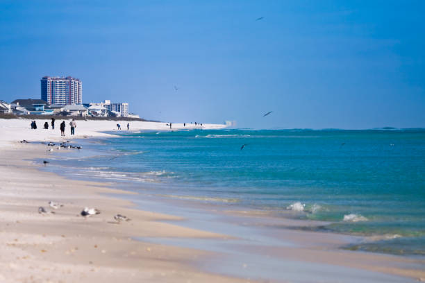 istock Pensacola Beach in Winter 911862518