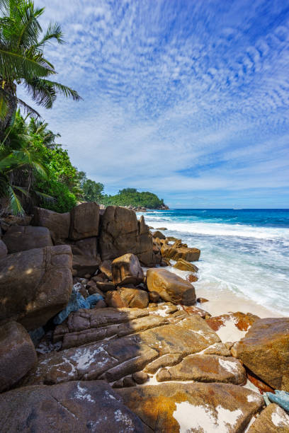 istock beautiful paradise beach,white sand,turquoise water,palms, seychelles 7 911863952