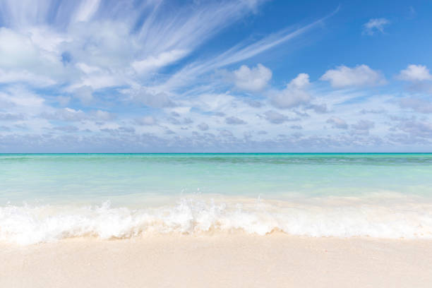 istock Idyllic Tropical Sand Beach, Cayo Coco, Cuba 911875844