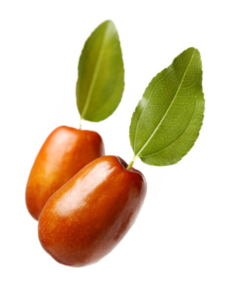 istock Nazume or Chinese date, leaves on green white background 911882714