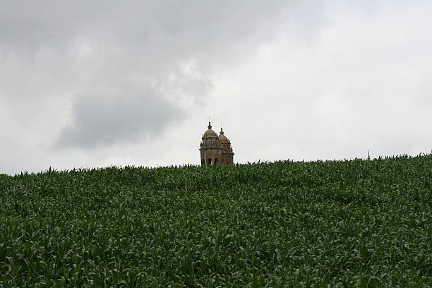 Dome´s monastery in maize´s field stock photo