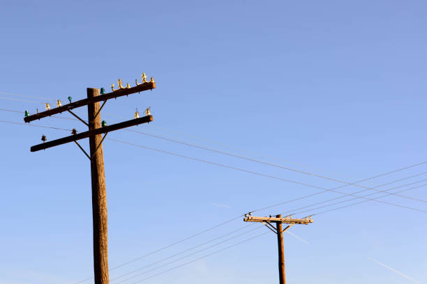 istock old wooden power poles with glass insulators 911888500