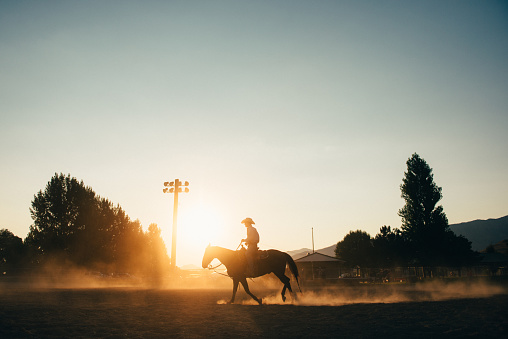 Vaquero a caballo en arena de rodeo photo