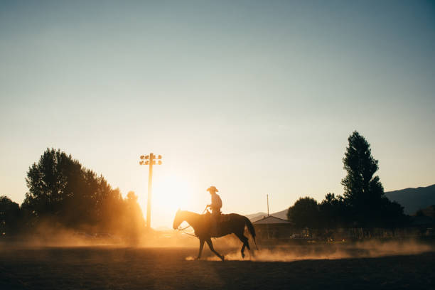 istock Cowboy Horseback riding at rodeo arena 911891454