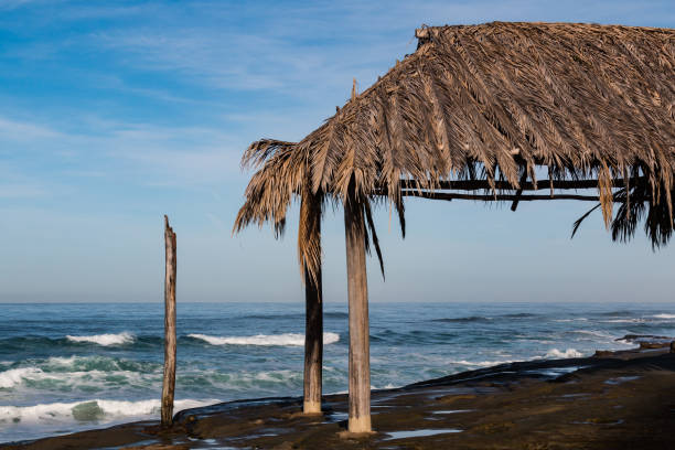 istock Thatched Surfer Shack at Windansea Beach 911894972