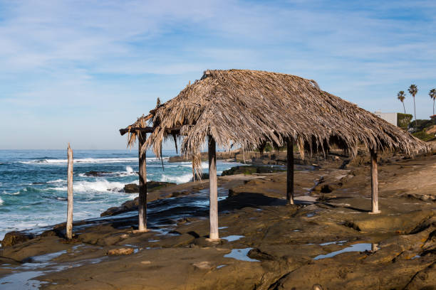istock Iconic Surfer Shack at Windansea Beach 911895926