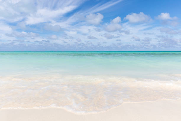 istock Idyllic Tropical Sand Beach, Cayo Coco, Cuba 911895932