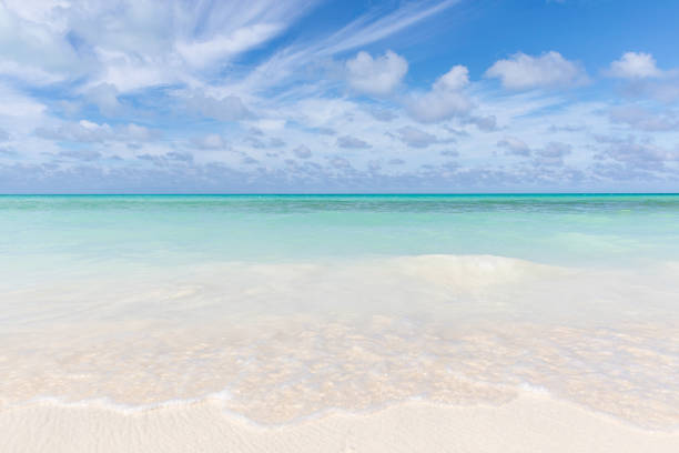istock Idyllic Tropical Sand Beach, Cayo Coco, Cuba 911895940