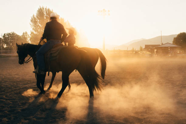 Father and son at rodeo arena Father and son stirring horses at rodeo arena at sunrise horseback riding photos stock pictures, royalty-free photos & images