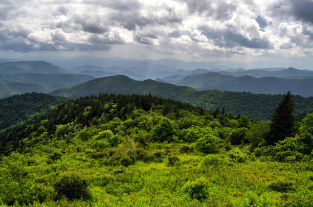 istock Looking Out From the Cowee Overlook 911907800