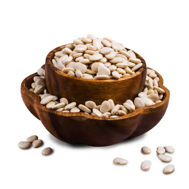 Photo of Large white dry beans