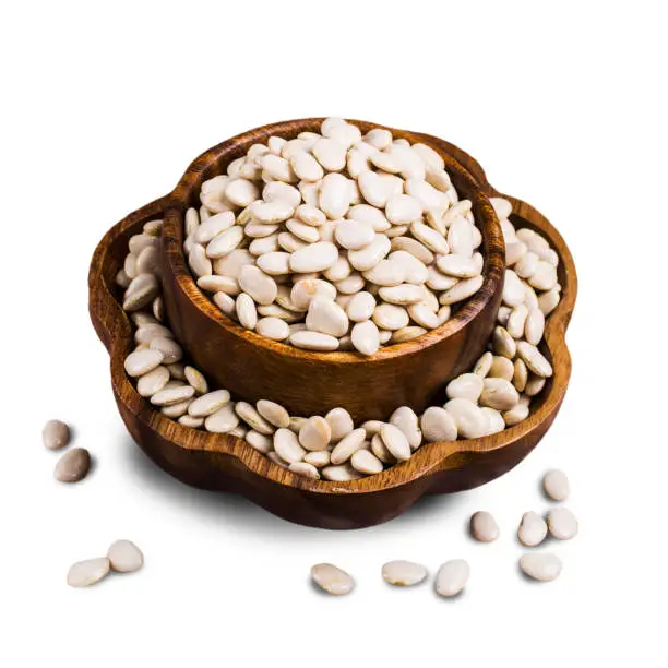 Photo of Large white dry beans