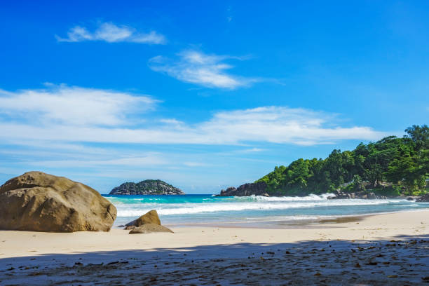 istock big granite rocks on seychelles beach, grand anse 4 911910392