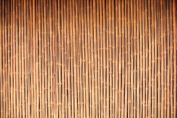 sfondo di bambù organico - wicker textured bamboo brown foto e immagini stock