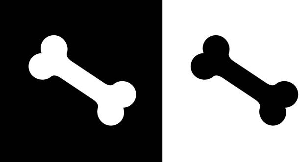 illustrazioni stock, clip art, cartoni animati e icone di tendenza di osso di cane. - osso-immagine