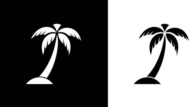 Palm Tree. Palm Tree.This royalty free vector illustration features the main icon on both white and black backgrounds. The image is black and white and had the background rendered with the main icon. The illustration is simple yet very conceptual. palm icon stock illustrations