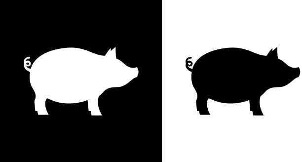 Pig. Pig.This royalty free vector illustration features the main icon on both white and black backgrounds. The image is black and white and had the background rendered with the main icon. The illustration is simple yet very conceptual. pig stock illustrations