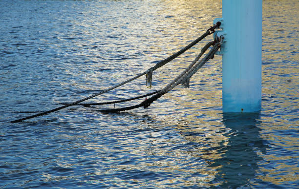 istock Pillar of the sea surface 911918808