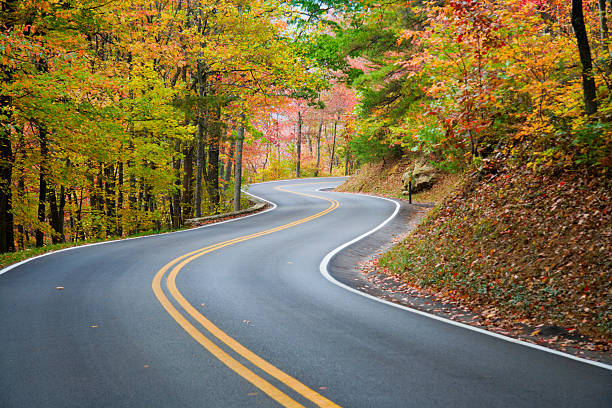 istock Winding road in autumn leaved forest 91192371
