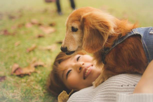 istock Japanese women relax with dogs 911925540