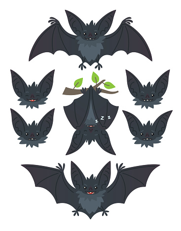 Bat in various poses. Flying, hanging. Grey bat-eared snouts with different emotions. Illustration of modern flat animal emoticons on white background. Cute mascot emoji set. Halloween smiley. Vector