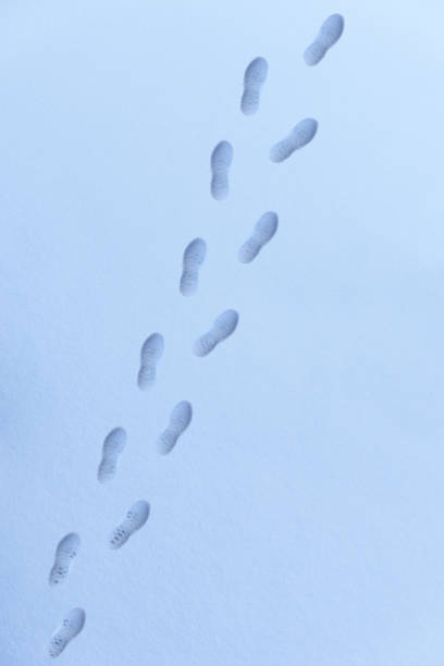 istock High angle view of marks of foot steps on snow ground 911938558